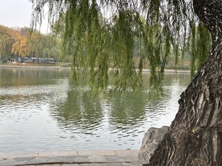 8F489824-A2FF-4411-811E-417693DE12DA/L0/001