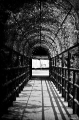 Hold my hand tightly and experience the journey of life 2gether