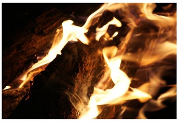 photo-14.JPG