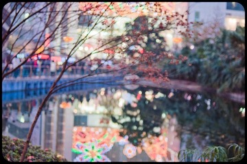 DSC_1189.jpg