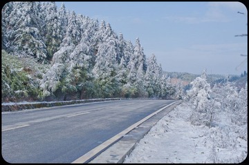 DSC_0022.jpg
