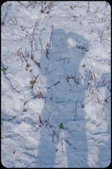 DSC_0037.jpg