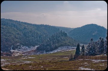 DSC_0062.jpg