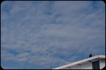 DSC_0077.jpg