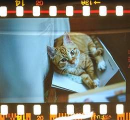 LENNFILM070612a_6.JPG