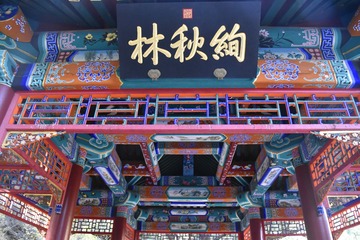 20110417-DSC_0088