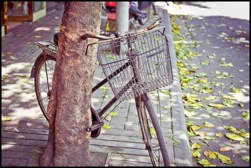 20110504-DSC_0576