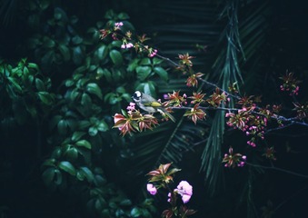001