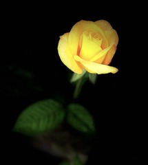 37A30AEA-9647-4089-BE16-2BF0DC346DBE/L0/001