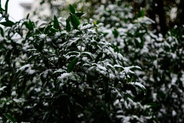 0A8700C5-B9EF-4CD9-AB7E-E6CB3DE28708/L0/001