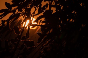 17782D96-BCA7-4B9B-9E94-0A502FA50804/L0/001