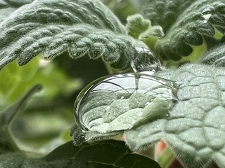 IMG_5063
