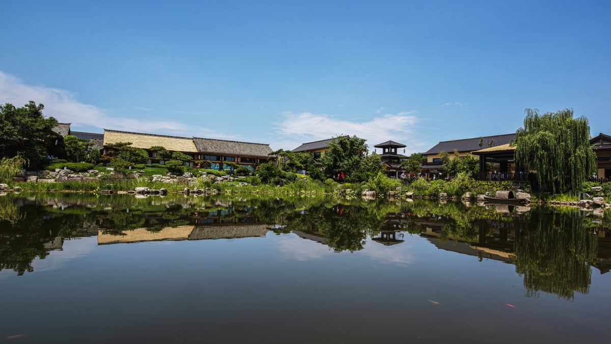 西安沣东新区诗经里故里再现"关关雎鸠,在河之洲"美景