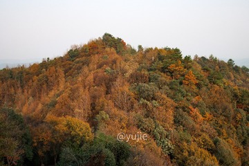 12371D77-DFFA-485C-A1F9-B52506E1CE92/L0/001