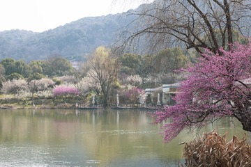 570A528F-2CF6-45EE-A55A-356E957B6803/L0/001