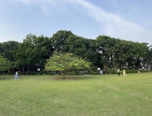 A2EB5017-4A45-4777-AC1F-63043931D241/L0/001