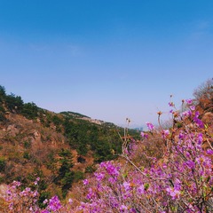 1F2BB271-C7D5-4A85-AB32-7A9D99C1DFA7/L0/001