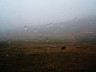 IMG_1783.JPG