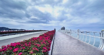 0259DE4C-2065-4F4A-B0BC-AA864098E0DC/L0/001