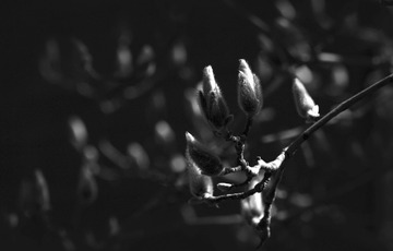 15994199-5DD0-4367-8EAE-D3D35772E0B9/L0/001