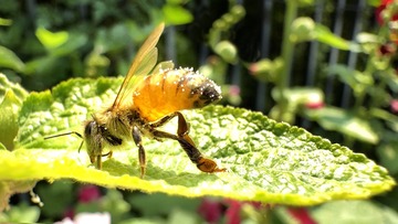BA17306F-09D8-4AB8-AD70-FB7A21540098/L0/001