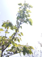 1000021530