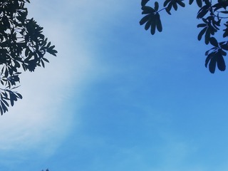 1000008018