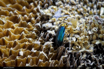 IMG_3089.jpg