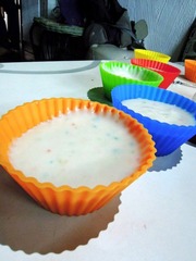 conew_dscn3791.jpg