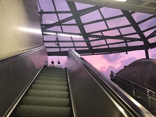584979EF-0008-403C-9E2E-59927830DA1D/L0/001