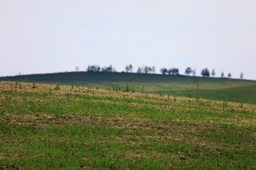 1U4A9662_
