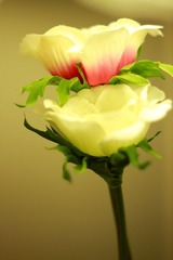 _MG_2711.JPG
