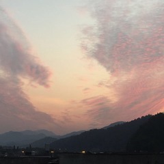 AF1AC0D9-9390-41BF-95E0-AC498E58B66F/L0/001