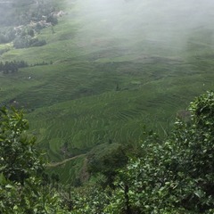 05E61266-A7AA-4322-B11E-8874101727E2/L0/001