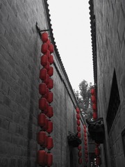 IMG_0279.jpg