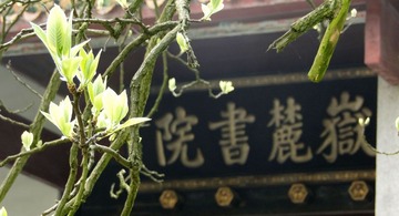 【一檐停风聚天下闲士，半阁藏卷窃古今名家】.JPG