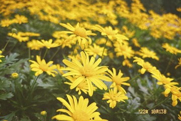 7B766E6D-38C6-481E-9A89-9DA0950CBC77/L0/001
