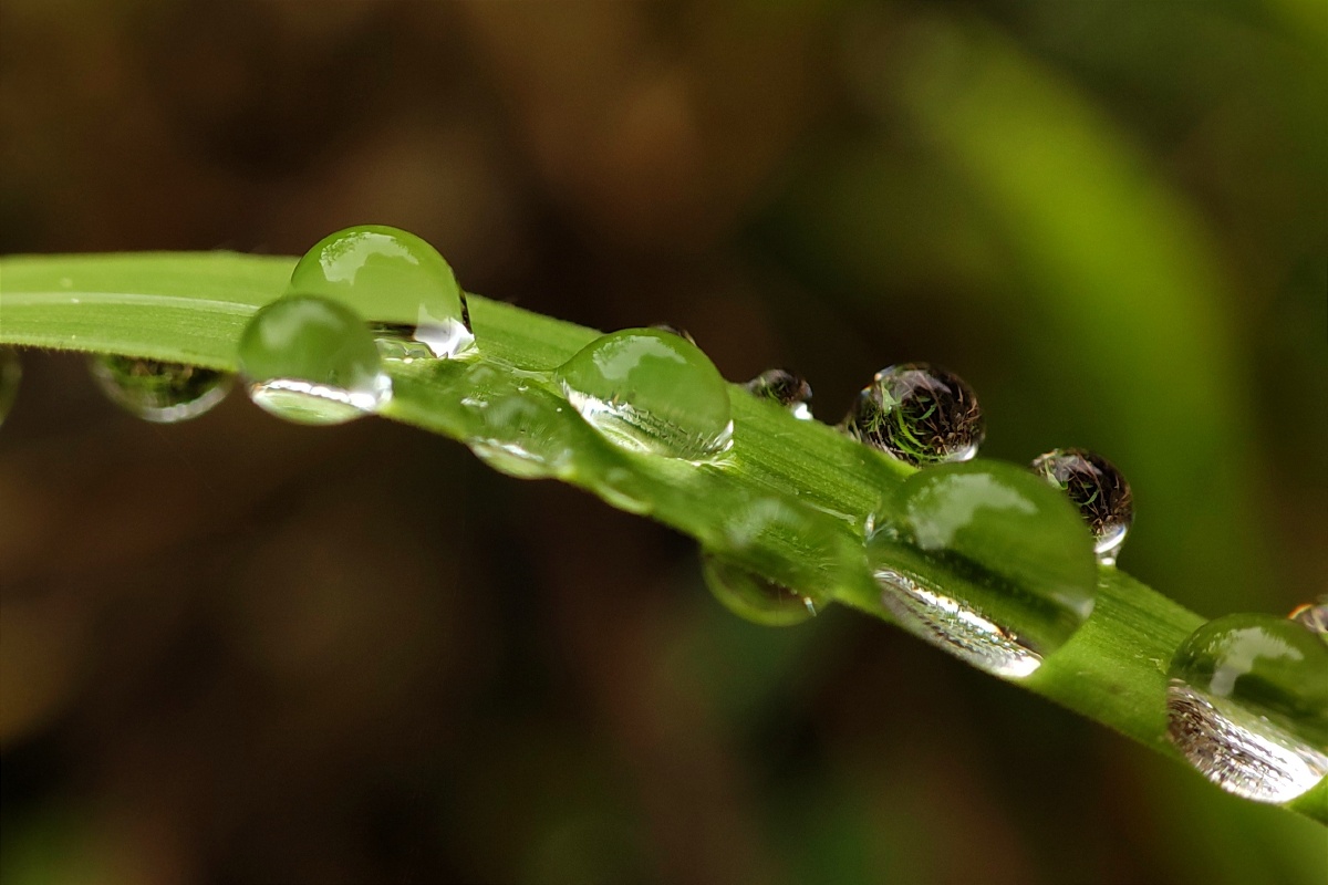 一滴水珠一个世界