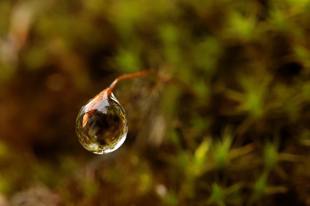 一滴水珠一个世界