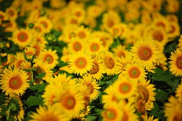照片2012-7-3 059.jpg