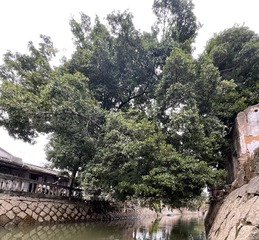 5F13E9E8-0A15-40CB-B20E-9D7B9E070471/L0/001
