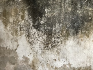 E50EBF86-AF35-42F7-9CF7-79DFBAD50AA0/L0/001