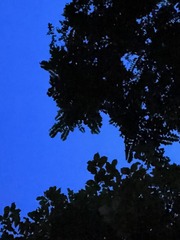 EBA3B35D-6FB7-4EFF-9248-D408E465113A/L0/001