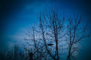 _DSC5282