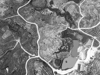 DJI_0029