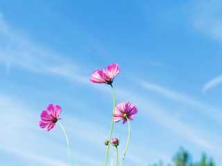 705