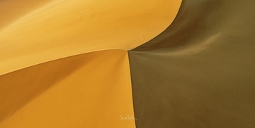 075D32E8-801C-4C0B-AA00-1EDA76507E57/L0/001