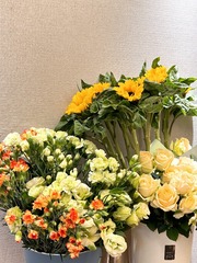 A9BD4374-CA21-4638-9D0D-380EC6C9140F/L0/001