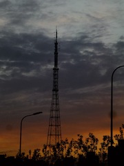 1000008529