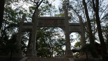 187802